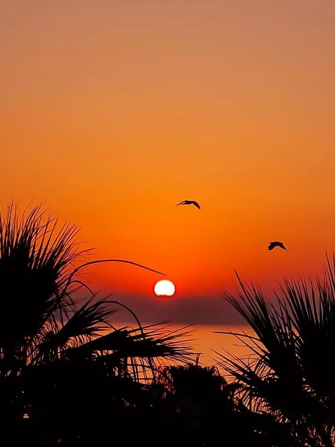 Alex Beach Apartment 34 Larnaca 0*,  Cyprus